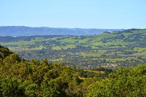 1750 Moon Mountain Road, Sonoma