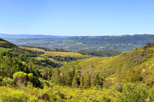 1750 Moon Mountain Road, Sonoma