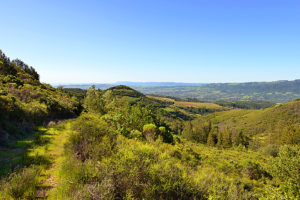 1750 Moon Mountain Road, Sonoma